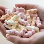 Où trouver des bonbons de Noël Jésus : les meilleurs endroits pour les acheter